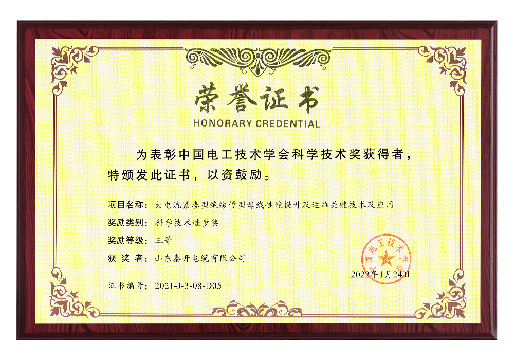 中國電工技術(shù)學(xué)會科技進(jìn)步獎（大電流緊湊型絕緣管型母線性能提升及運維關(guān)鍵技術(shù)及應(yīng)用）