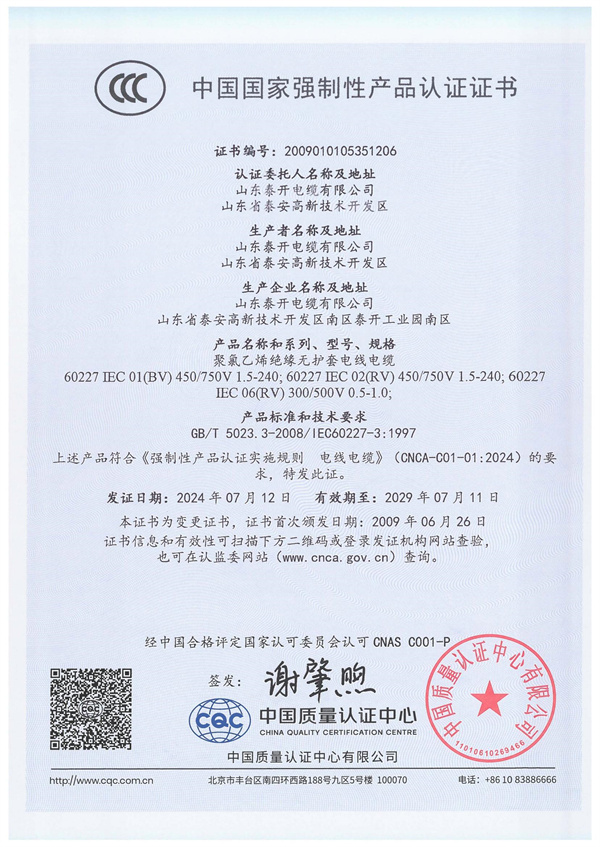 聚氯乙烯絕緣無(wú)護(hù)套電線電纜